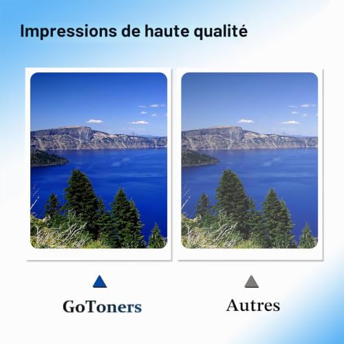 Detalle de GoToners XL Compatible Cartouche 540/541 pour PIXMA MG3600/TS5150/MG3650s – Noir et Couleur (Pack 2, 540XL/541XL)
