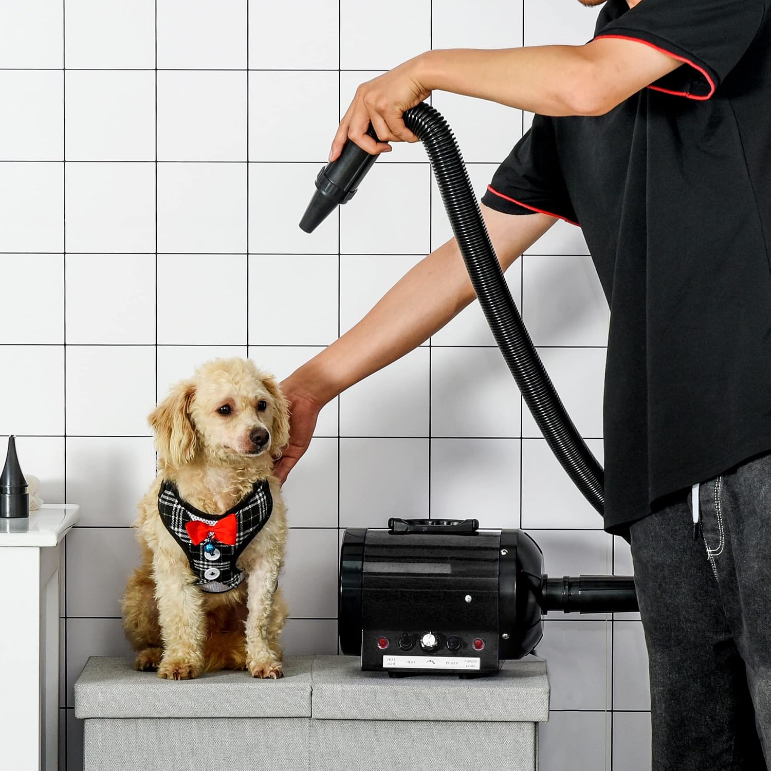 Detalle 2 de HOMCOM PawHut 2800 W sèche-poils professionnel