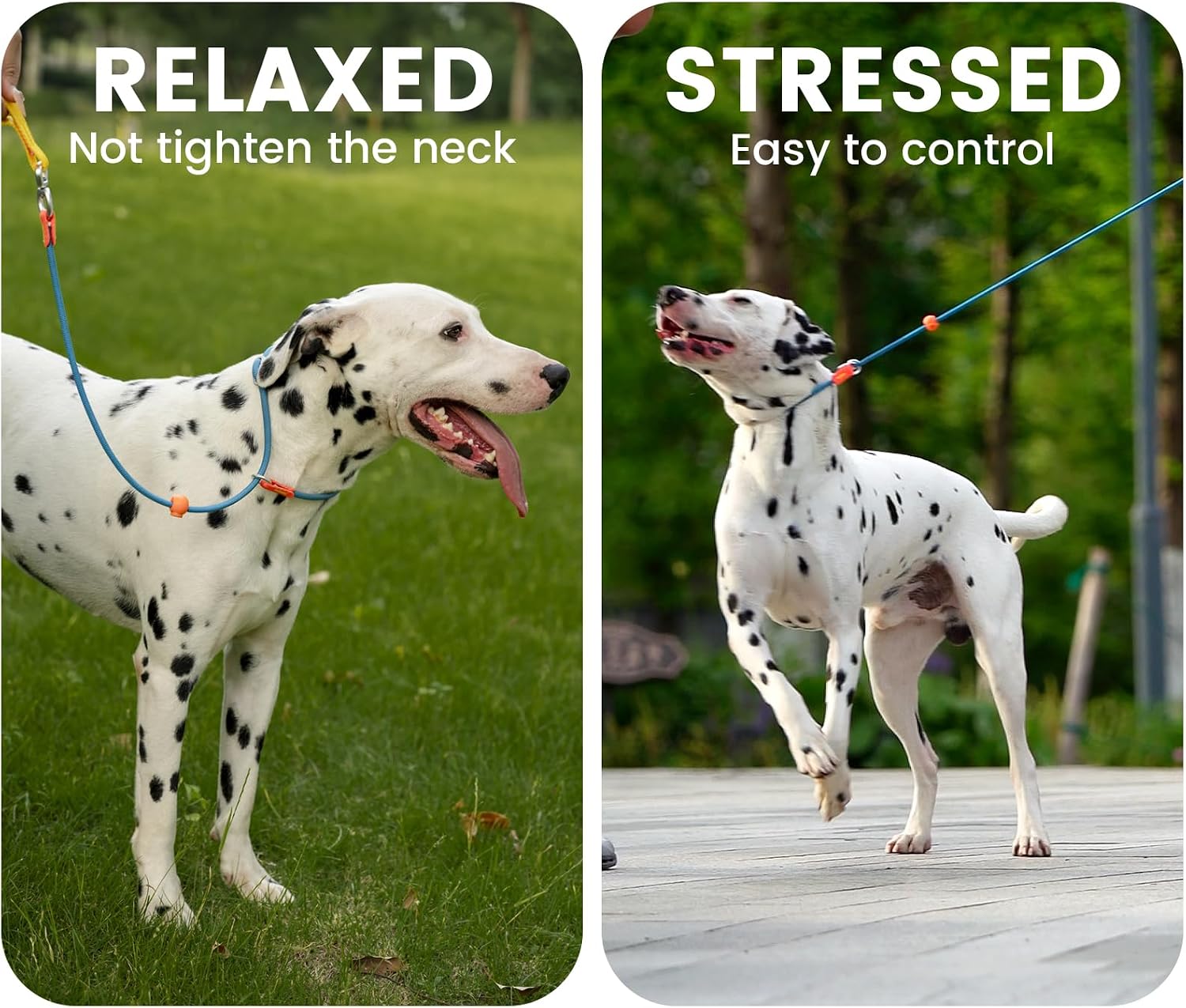 Thumbnail 1 de Howgo Dog Slip Lead (No-Pull Training Leash) with Padded Handles, 5.5FT, Black