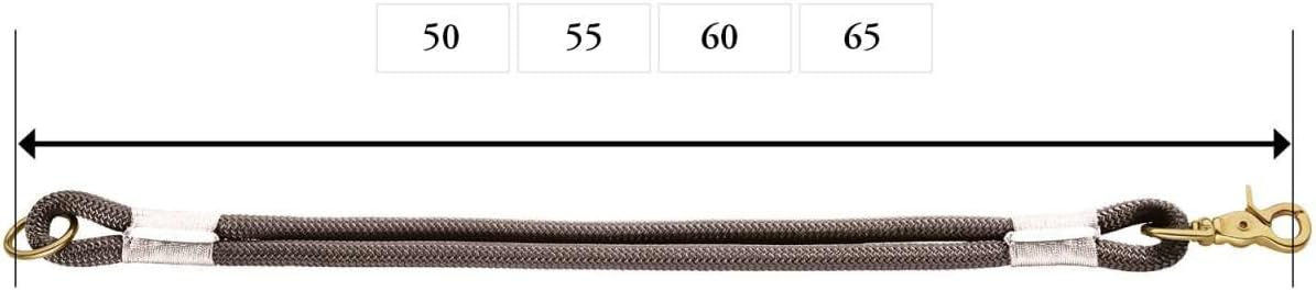 Thumbnail 2 de HUNTER Sansibar Rantum Halsung, Hundehalsband, beige, 50 cm (M-L) – nautisch-modern
