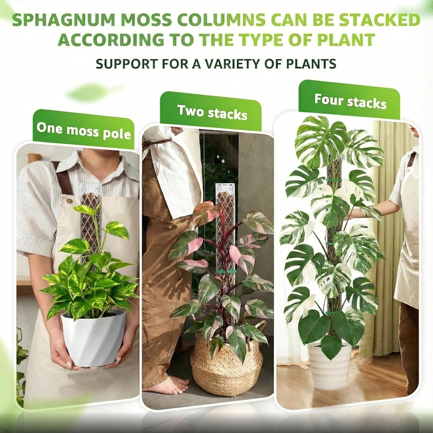 Thumbnail 6 de Sisher TTKI068 Plastic Moss Pole, 16-Inch, 4-Pack, Stackable D-Shaped Support