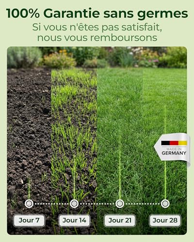 Detalle de Natureflow Gazon Regarnissage Rapide 0,5 kg (20 m2) – Pelouse à semer, croissance rapide et autoréparation naturelle