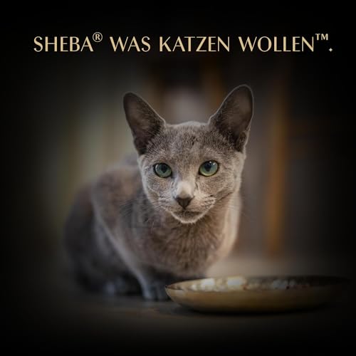 Thumbnail 7 de SHEBA Filets Adult Katzenfutter in Sauce mit Huhn und Thunfisch – 16x60 g Schale