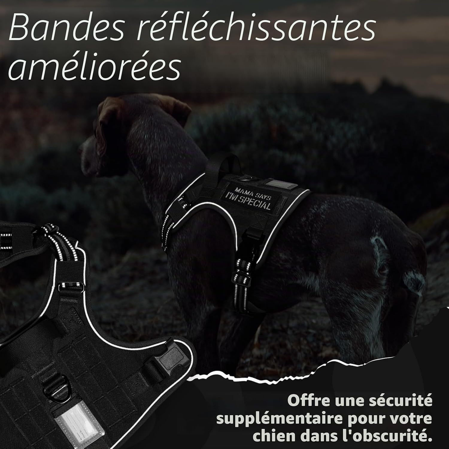 Thumbnail 6 de rabbitgoo Harnais Chien Anti Traction M