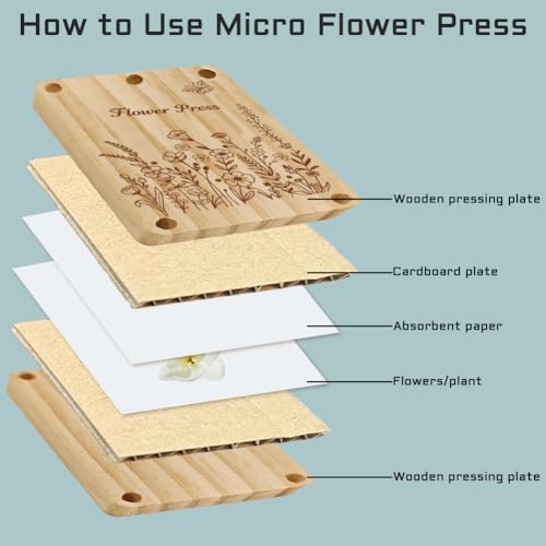 Thumbnail 5 de PRESSINART Kit de Prensado de Flores de Madera con Prensa (2.5 x 3.9 pulgadas) – Set completo para prensar flores y hojas
