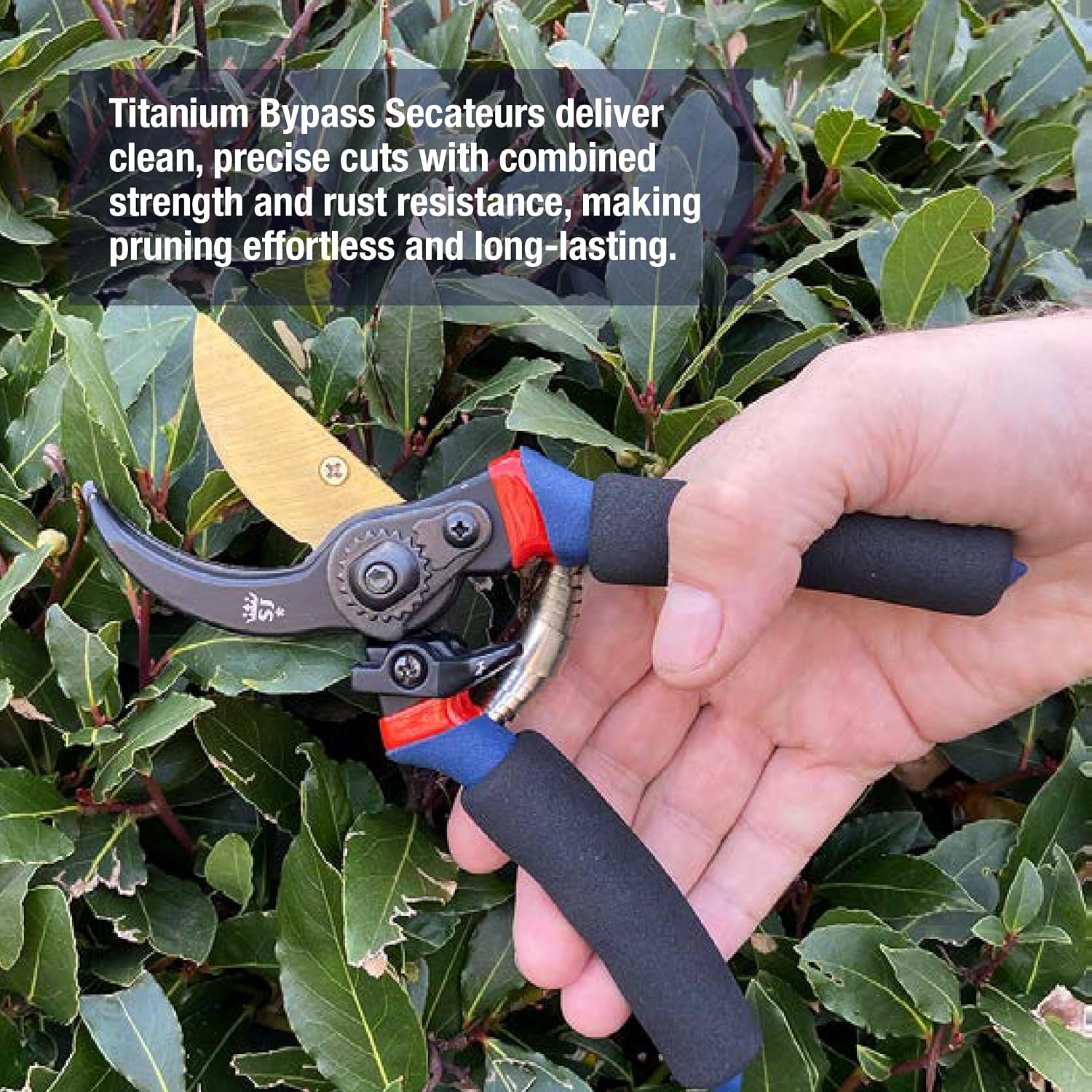 Detalle de Spear & Jackson 6658TITAN Razorsharp Titanium Garden Secateurs