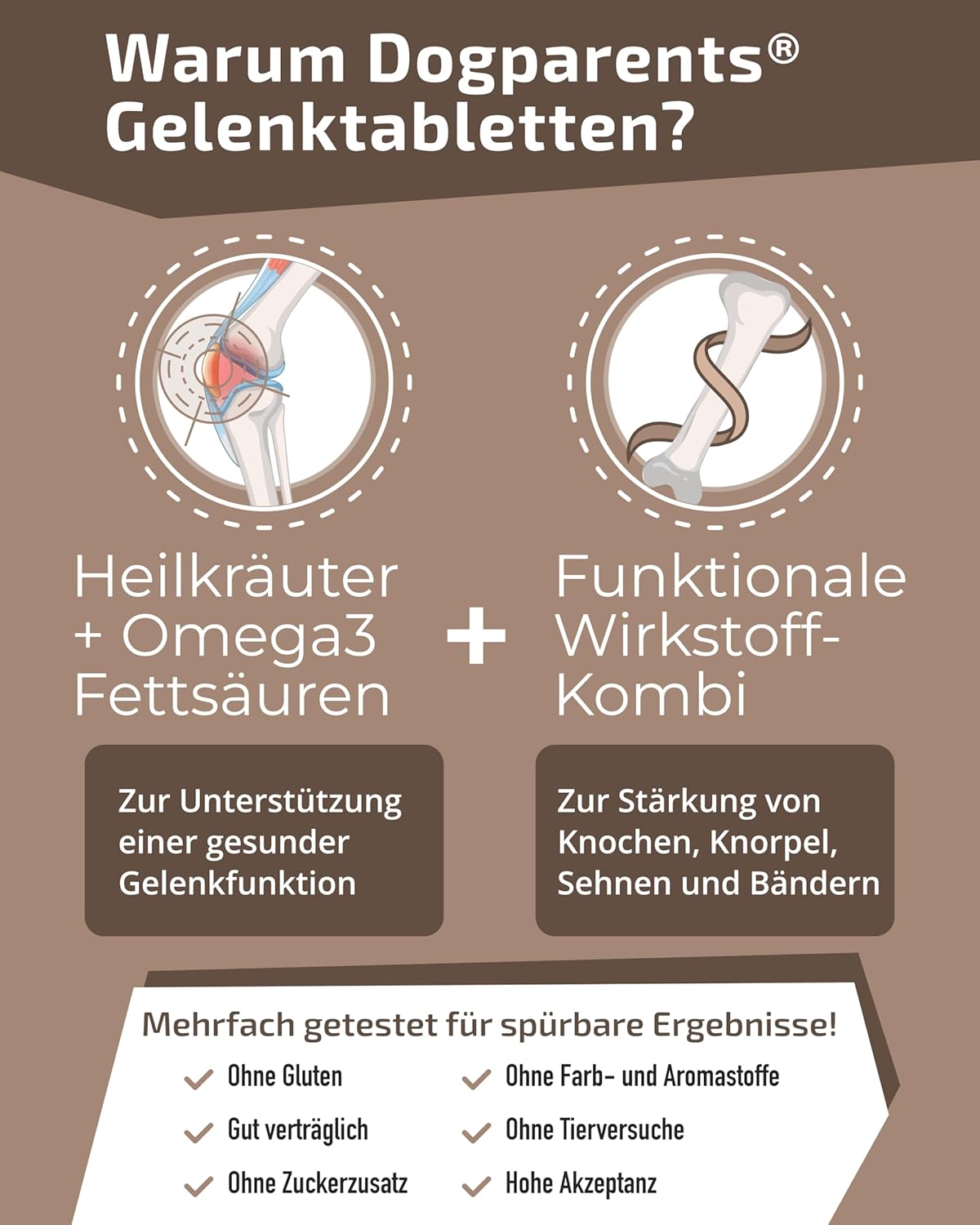 Thumbnail 3 de Gelenktabletten für den Hund – Dogparents, zuckerfrei & laborgeprüft (Grünlippmuschel, MSM, Glucosamin u. a.), 150 g