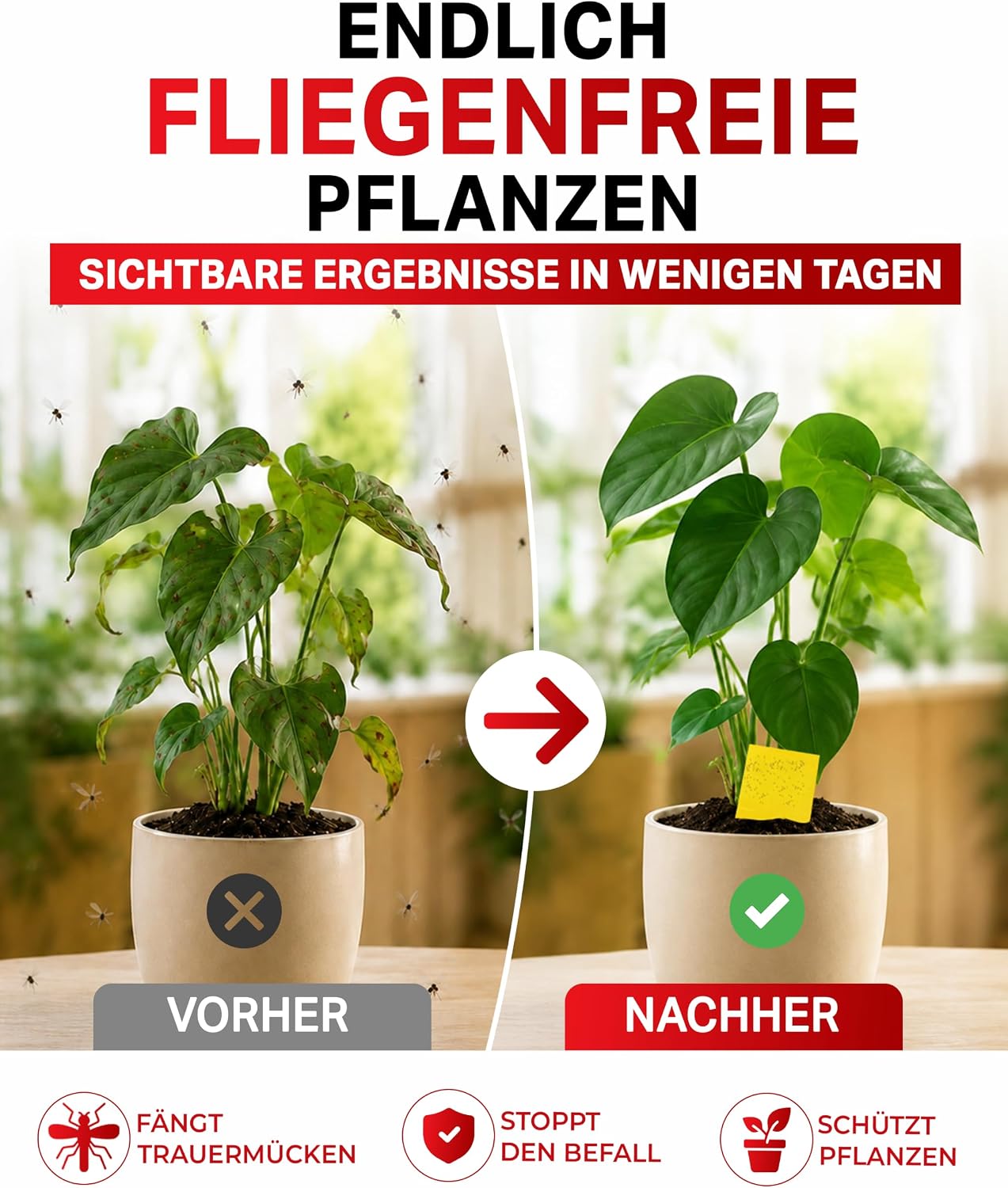 Detalle de PIC Gelbsticker 60x Gelbtafeln gegen Trauermücken 🪰
