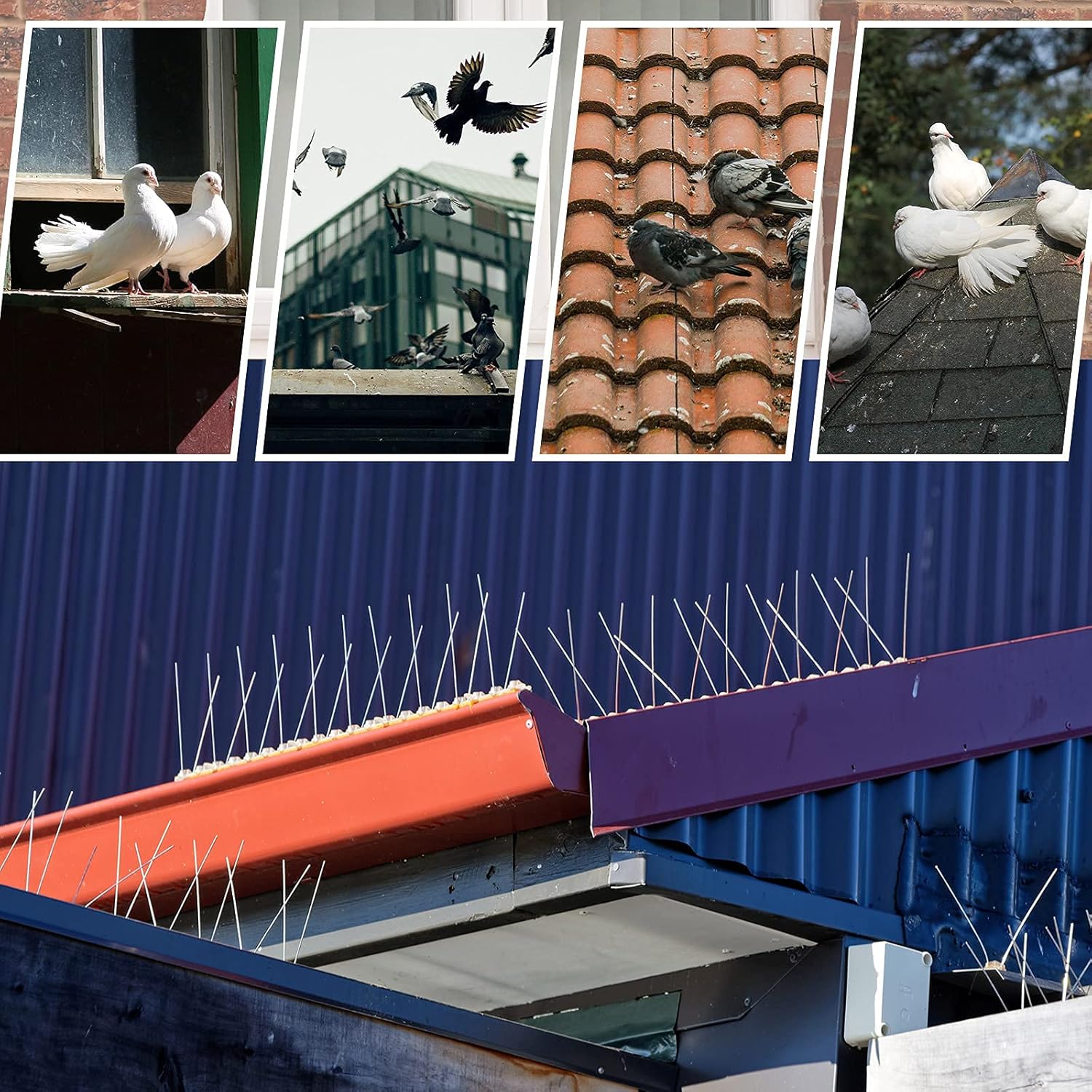 Thumbnail 4 de 8Pcs Bird Spikes, Pigeon Spikes Kit Cover 2M – Humane Bird Deterrent for Gardens, Balconies and Roofs