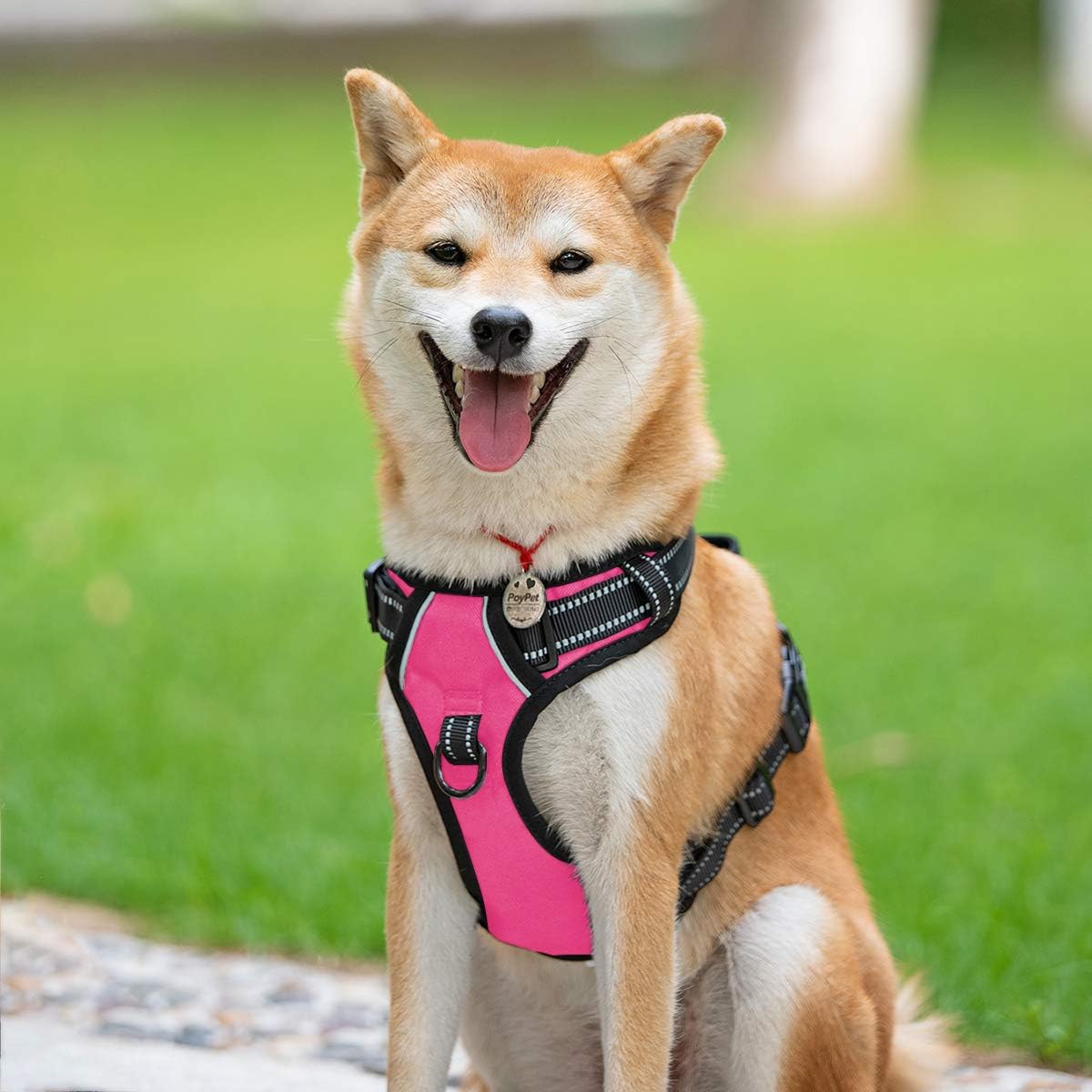 Detalle de PoyPet No Pull Hundegeschirr – reflektierendes Front- und Rückengeschirr für kleine bis mittelgroße Hunde (XS, Rosa, 1er Pack)