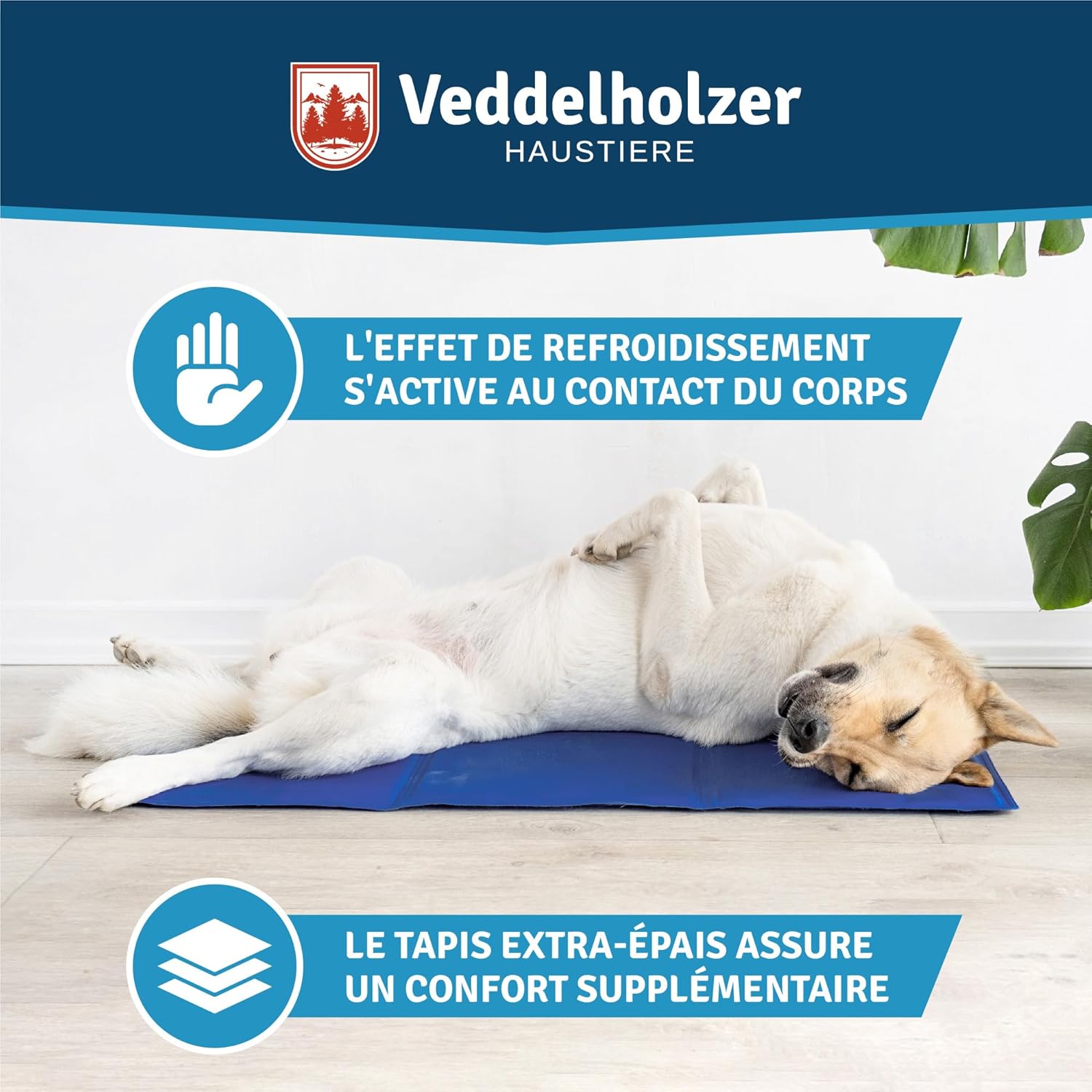 Thumbnail 6 de Veddelholzer Tapis rafraîchissant auto-refroidissant Extra épais pour chien (L)