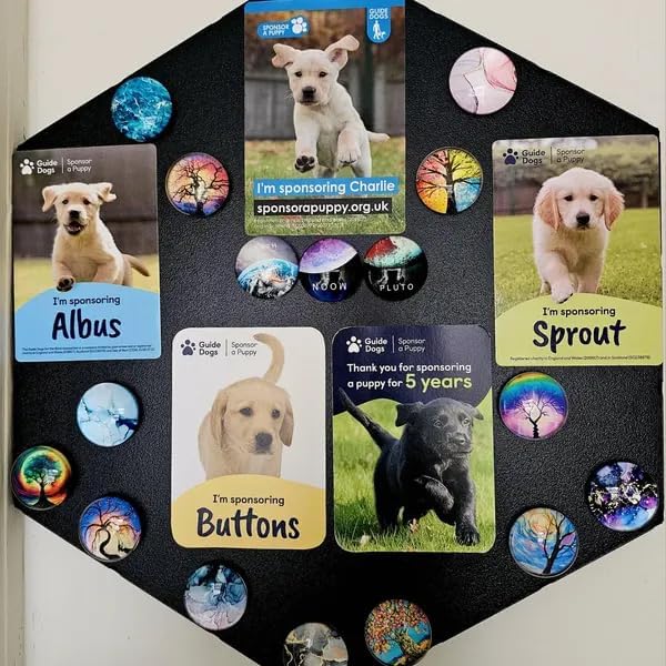 Detalle 2 de FYLZSIGN Hex-mag-01 zeshoekig magnetisch prikbord van zwart metaal, 20 x 20 cm