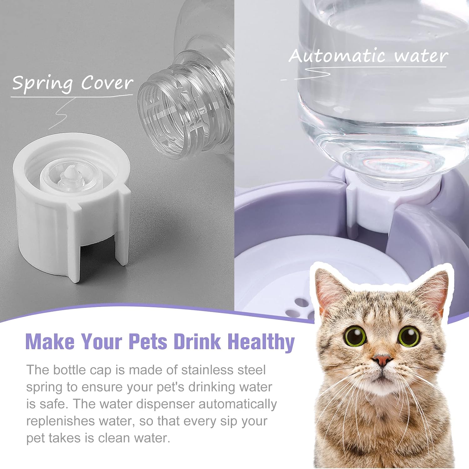 Detalle de Pet Bowl Set with Stainless Steel Bowl