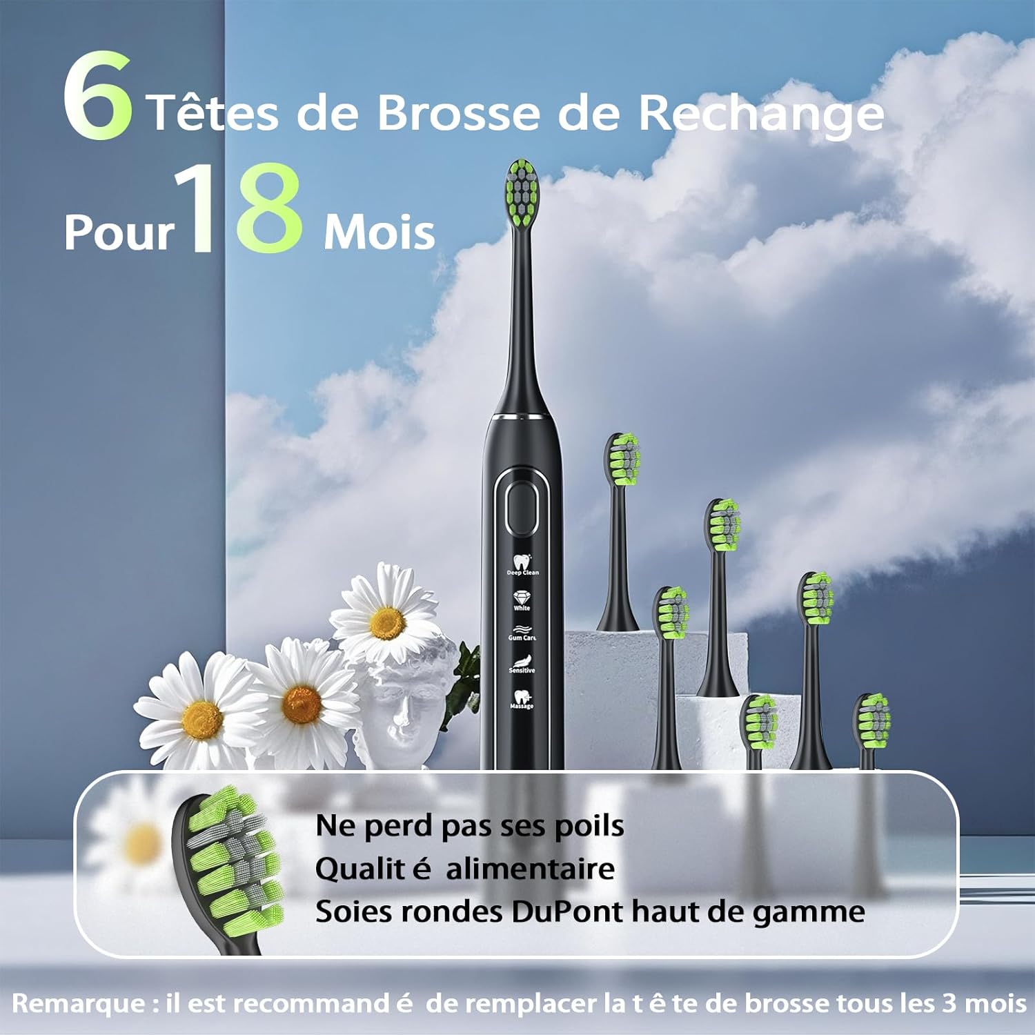 Detalle 2 de OasiSmile Brosse à Dents Électrique Soniques pour Adultes — 5 modes, autonomie 100 jours, 6 têtes incluses
