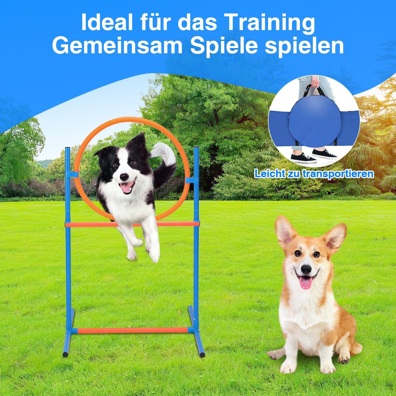 Thumbnail 6 de Hebitod Agility Set Hunde – 5-teiliges Set für flexibles Hundetraining (Slalom, Hürde, Sprungring, Tunnel)