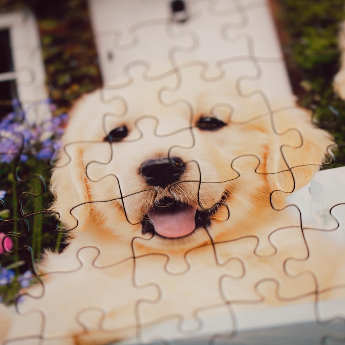 Thumbnail 6 de Ravensburger Puzzle Adulte 200 pièces Golden – Bien-être, pièces épaisses et support inclus