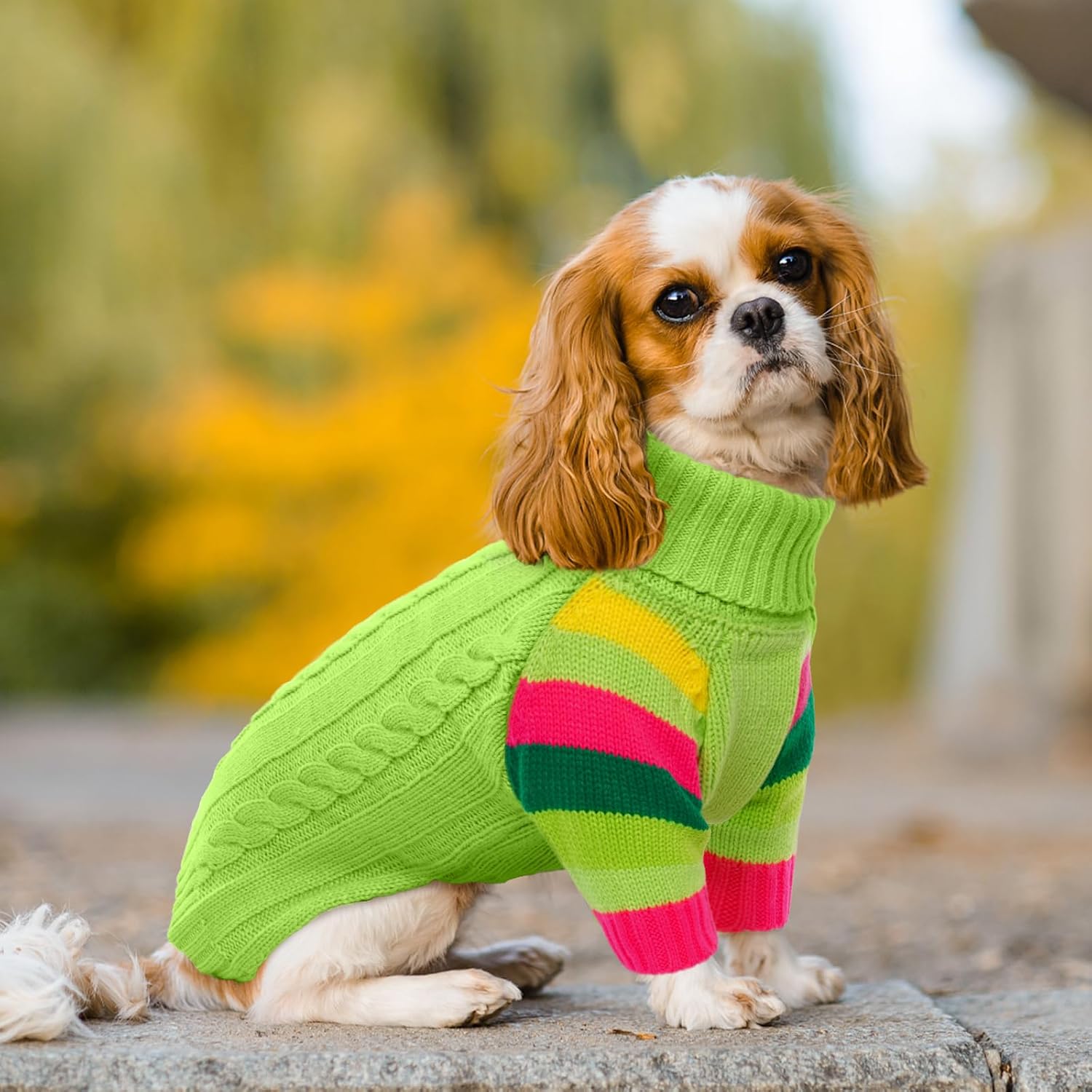 Detalle 2 de OUOBOB Dog Jumper: Medium Winter Turtleneck Pullover for Dogs (Beagle, Frenchie, Boston Terrier)
