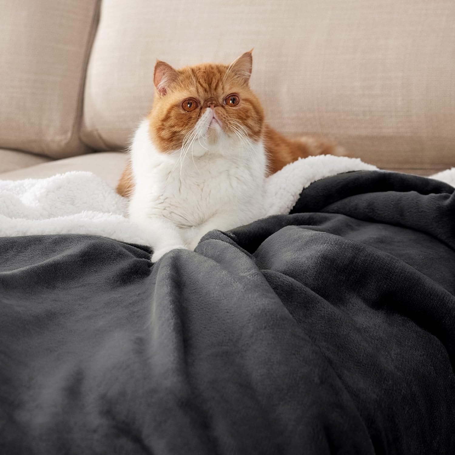 Thumbnail 1 de BEDSURE Kuscheldecke 150x200 cm 🛋