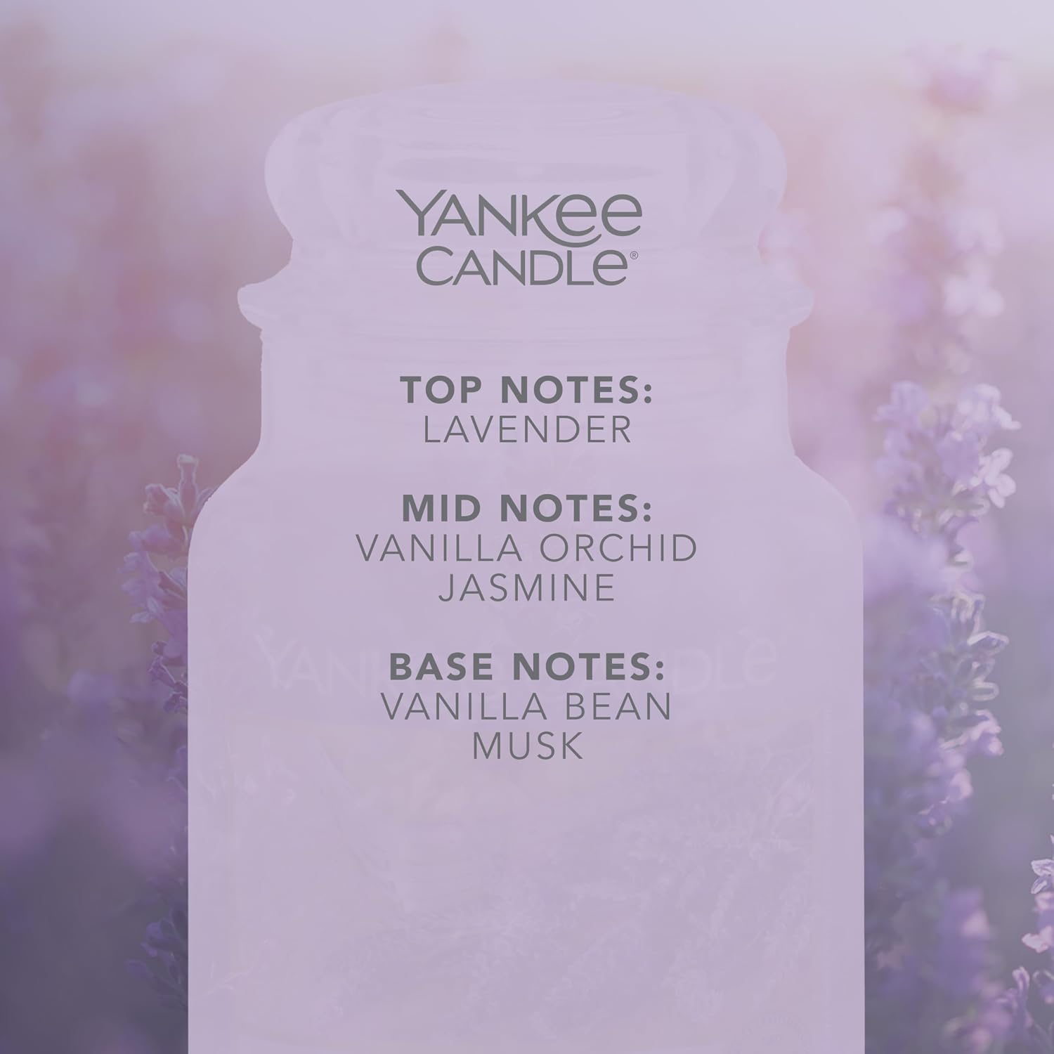 Detalle de Yankee Candle Lavender Vanilla 150h