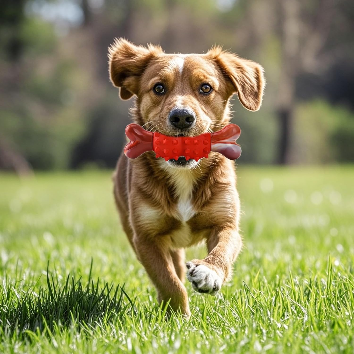 Thumbnail 5 de LIFLIX jouets à mâcher indestructibles en nylon et caoutchouc (forme d’os) pour chiens