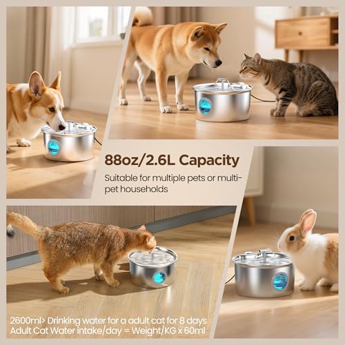 Detalle de UMOCUOY fuente de agua para gatos de acero inoxidable 304 con cuenco dispensador automático y doble caño (2,6 L)