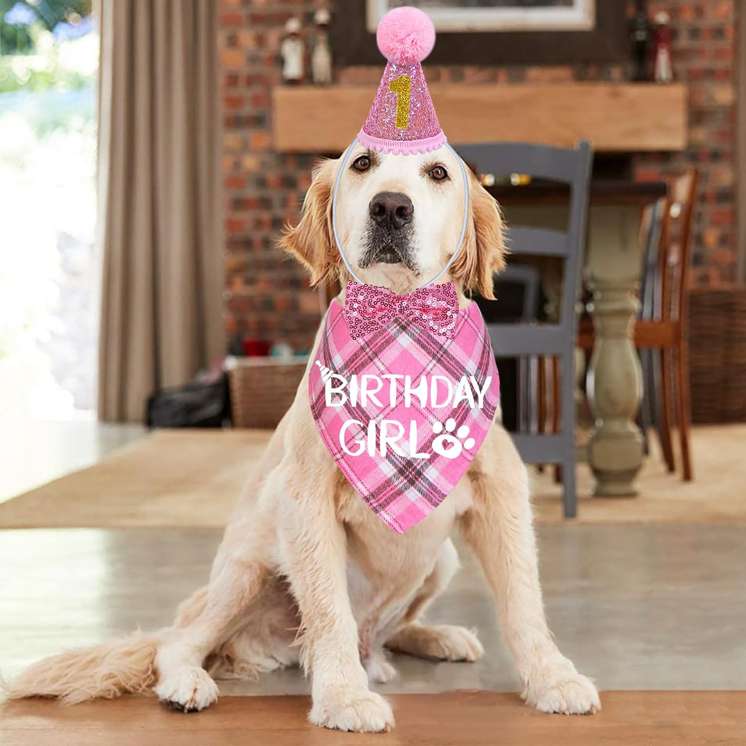 Detalle 2 de STMK Dog Birthday Outfit Set, Large