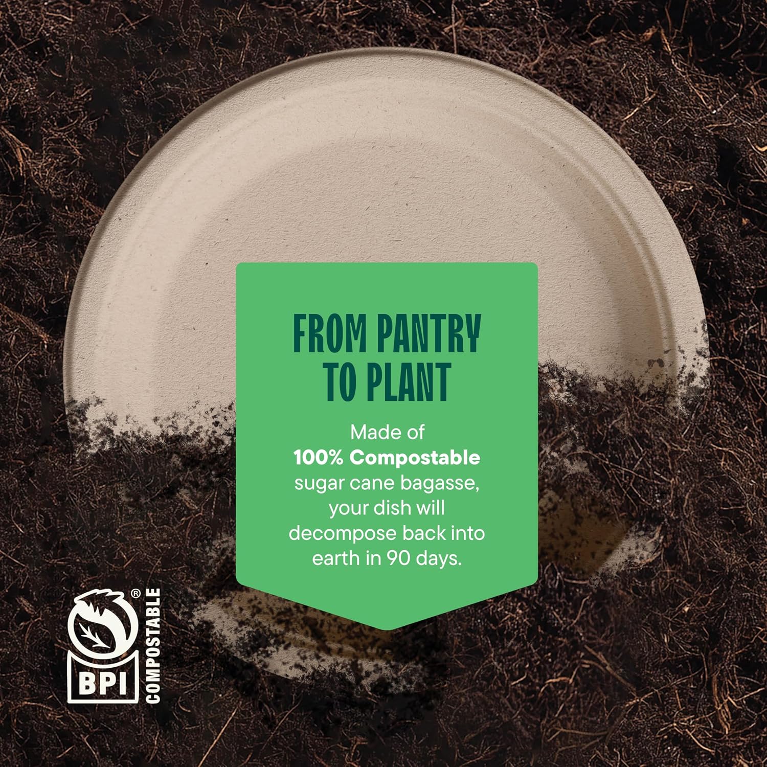 Thumbnail 5 de 100% Compostable Paper Plates 125-Pack 9" ๐ฝ