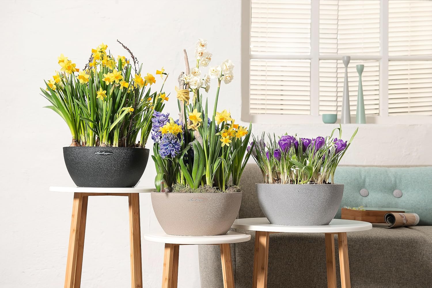 Thumbnail 6 de Lechuza CUBETO Color 30 Komplettset graphitschwarz