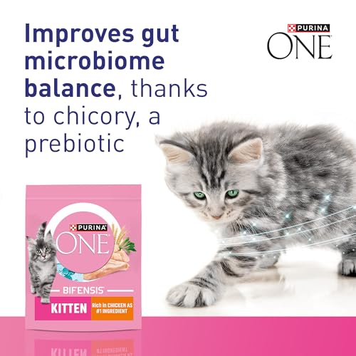 Detalle 2 de Purina ONE Kitten Chicken Dry Cat Food 750g (Pack of 4) review