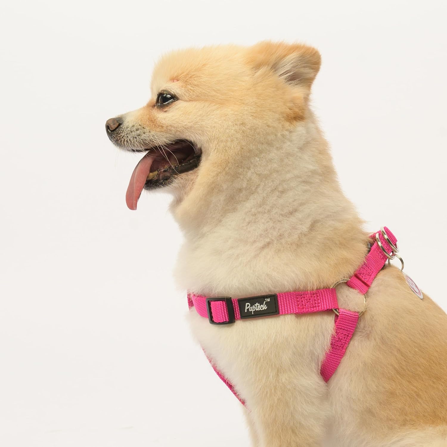 Thumbnail 4 de PUPTECK Dog Harness Large