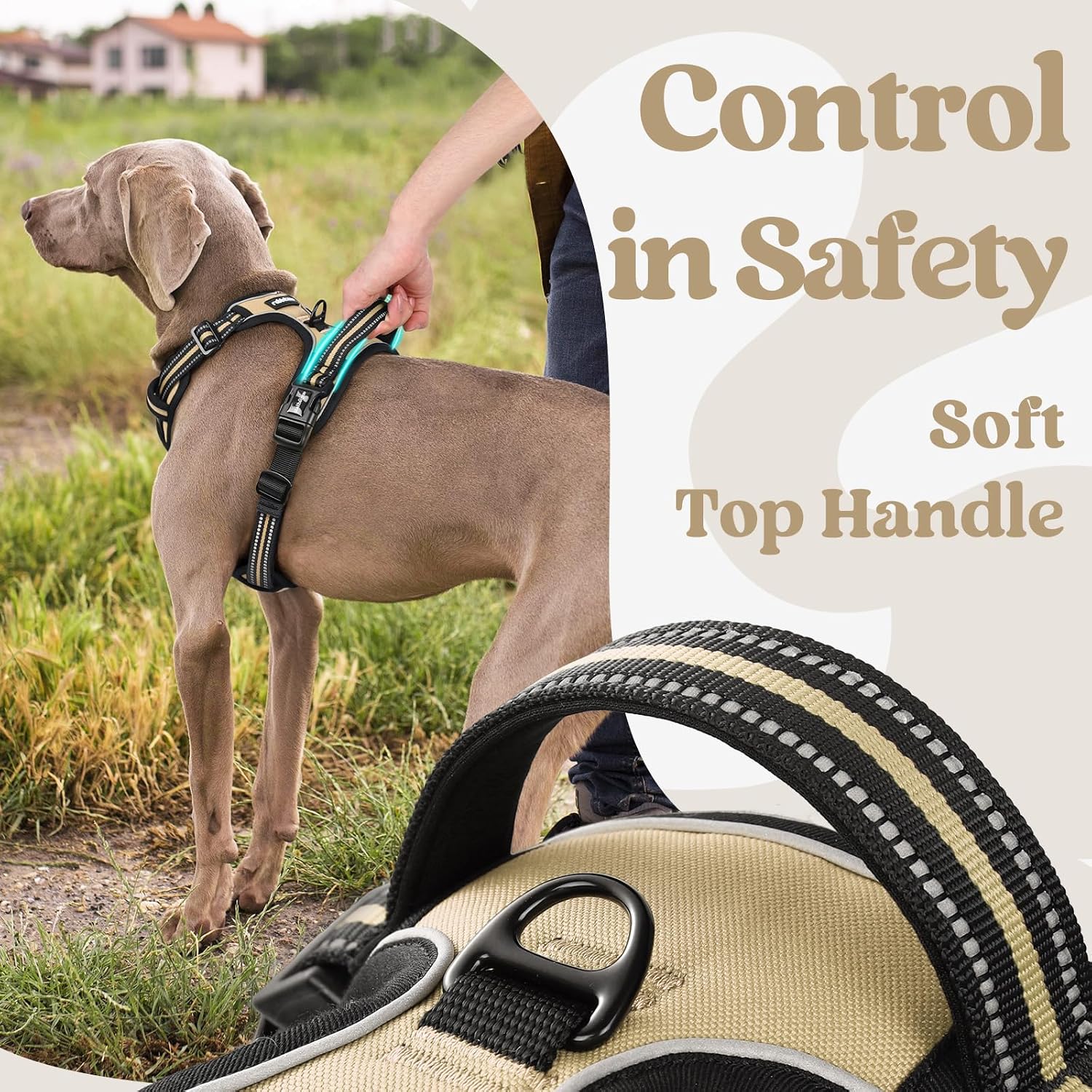 Thumbnail 4 de rabbitgoo Dog Harness for Large (XL) — No-Pull Adjustable Soft Padded Vest with 3 Buckles, Reflective Strips & Control Handle