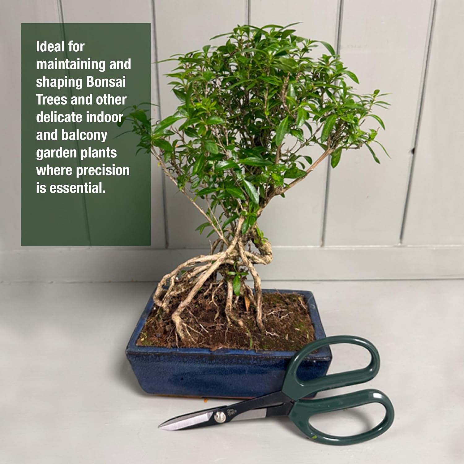 Detalle de Spear & Jackson Kew Gardens Urban Oasis Japanese Style Pruning Scissors – Precision Bonsai & Indoor Plant Cutters