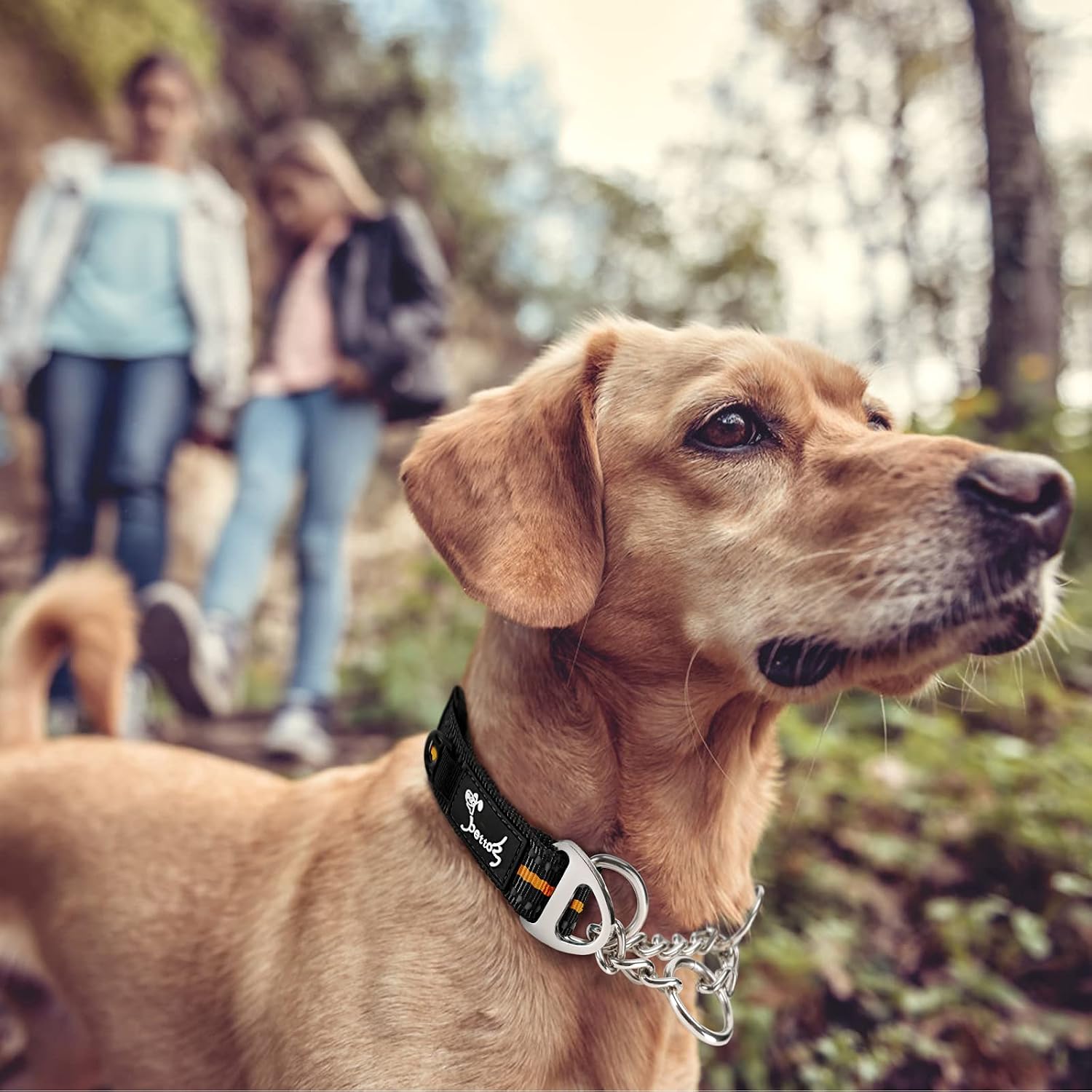 Detalle de PETTOM Martingale dog collar, orange, 43-52cm