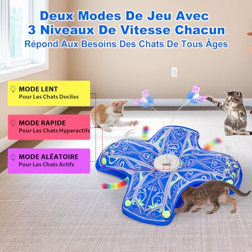 Detalle 2 de Qraxond Jouet Interactif pour Chats d'Intérieur – Nouvelle Version Améliorée