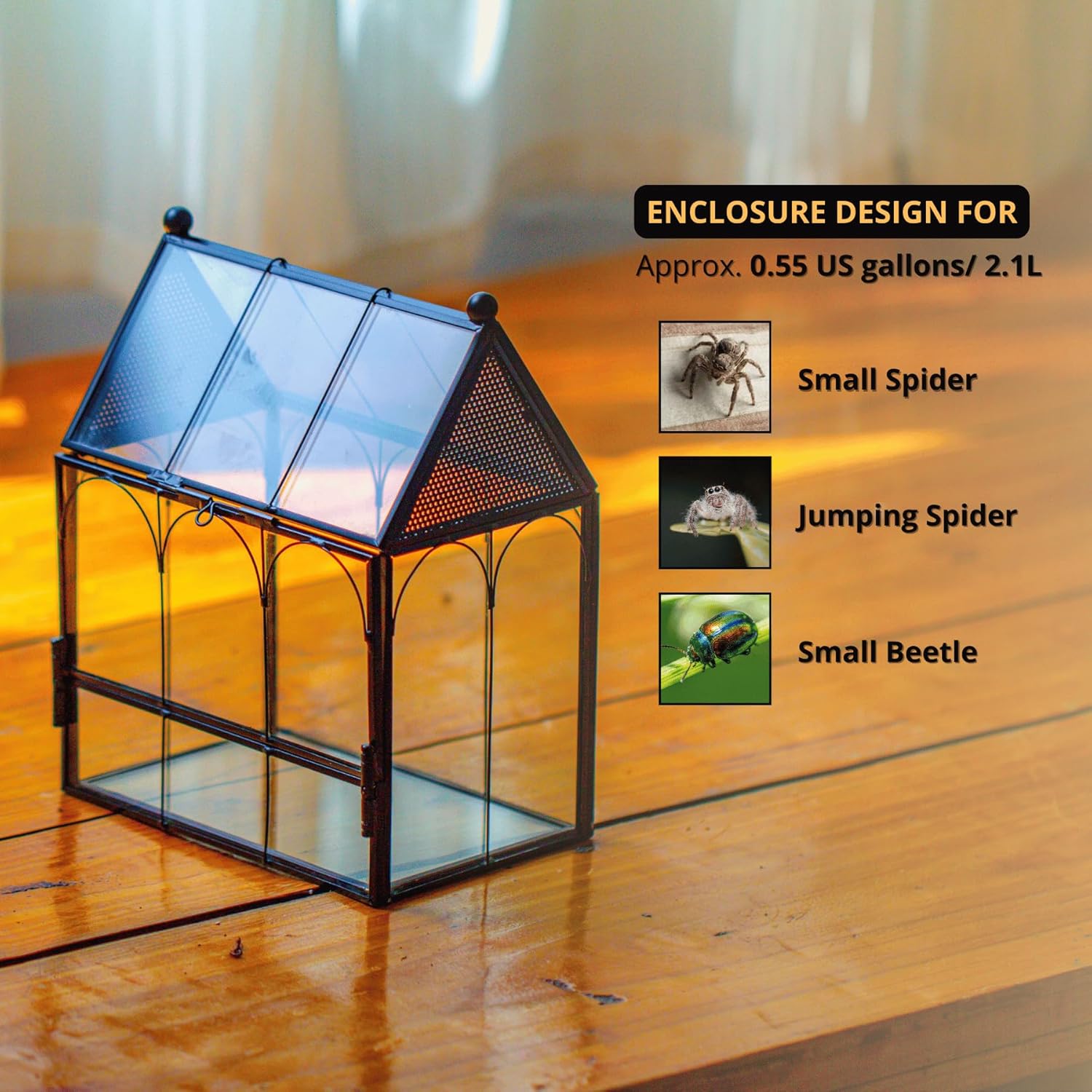 Thumbnail 1 de NCYP Small Glass Terrarium Enclosure with Mesh for Jumping Spiders (Terrarium Only) – Black, 14.7 x 9.6 x 17.8 cm