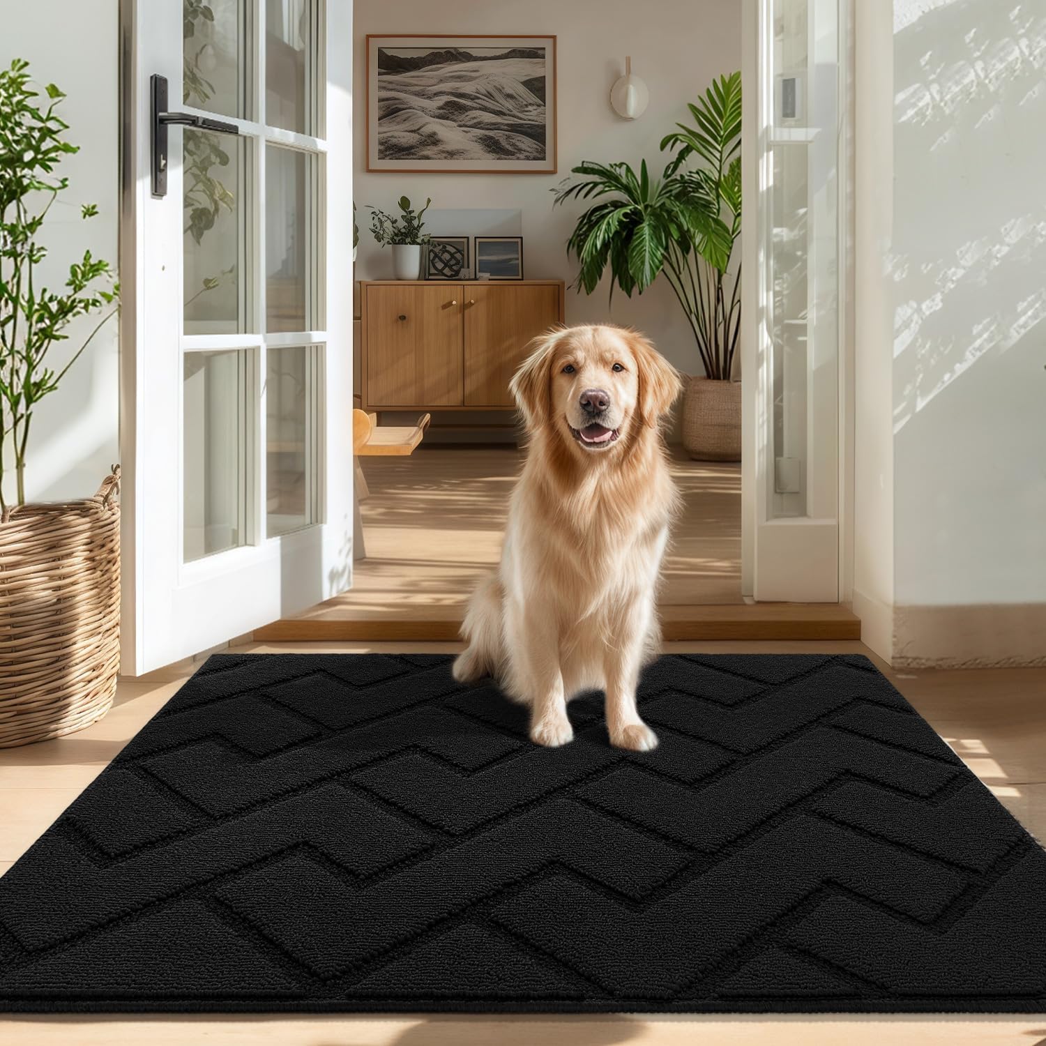 Thumbnail 6 de Biscpro Door Mat 80x100cm – Indoor Washable, Non-Slip Dirt Trapper Doormat
