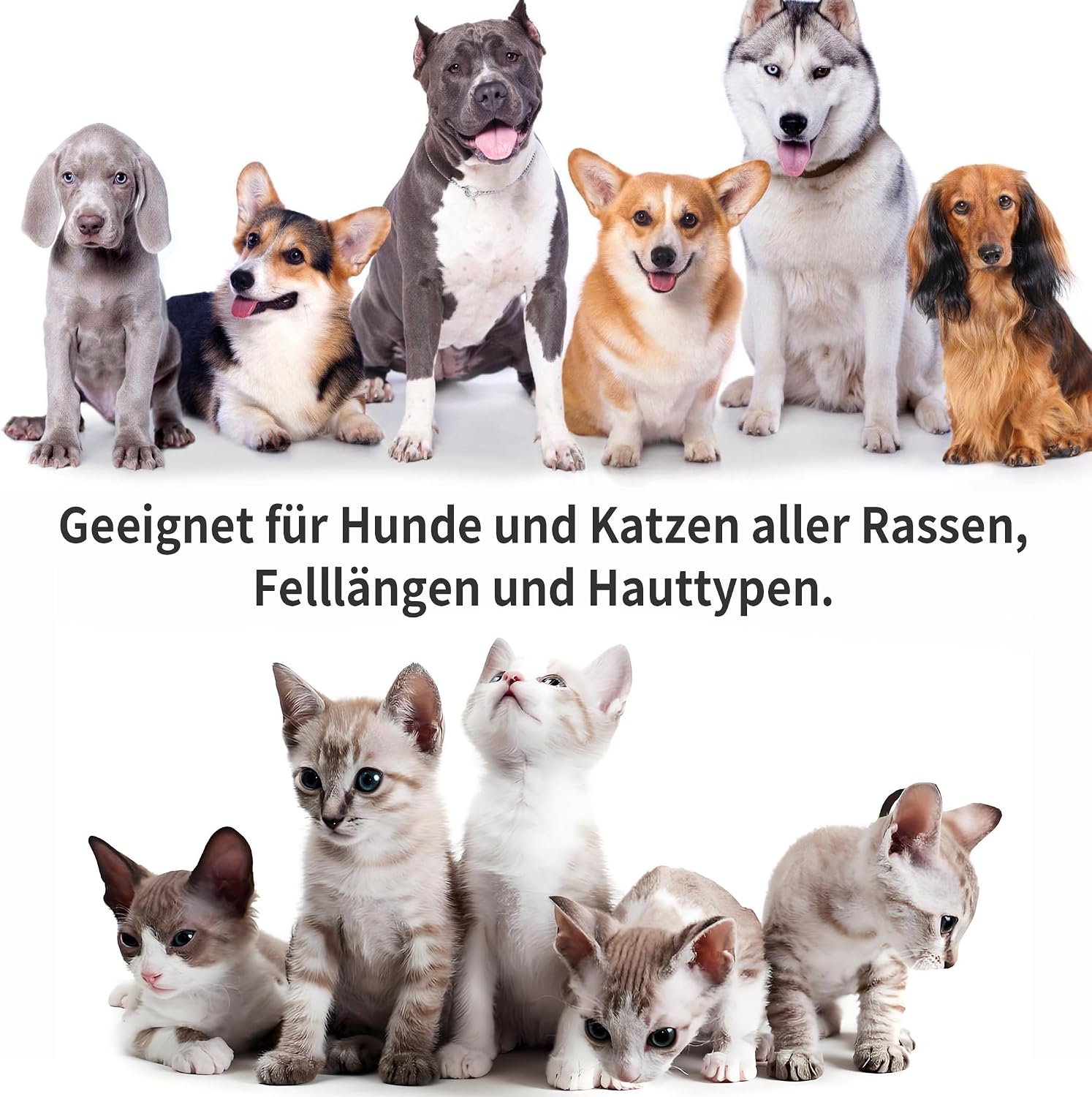 Detalle de PETCLEAR Hundeshampoo mit Kokosöl 500 ml – pH-neutral, hypoallergen & leicht auszuspülen