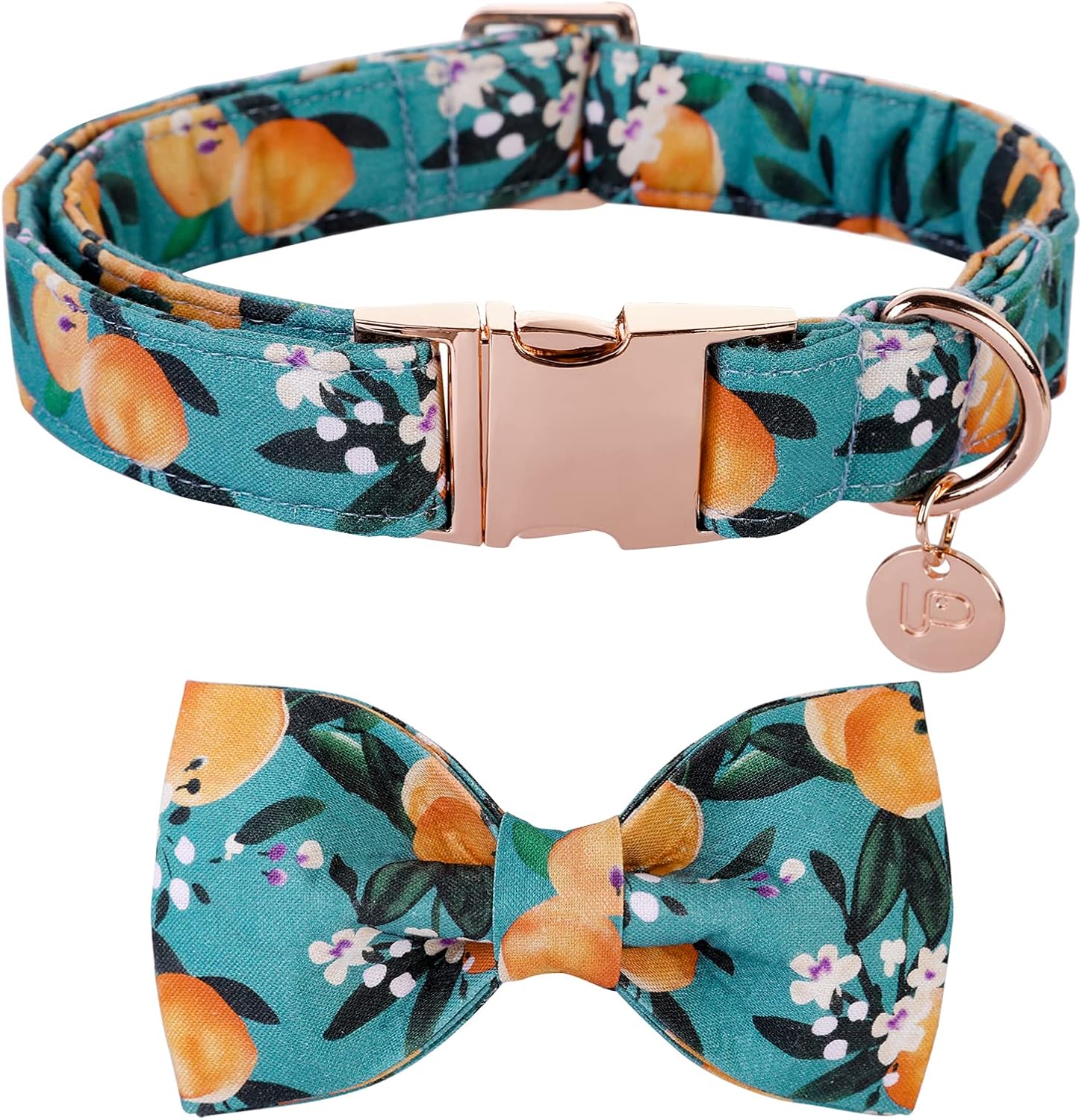 Detalle de UP URARA PUP Dog Collar, Medium