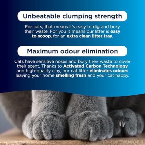 Detalle 2 de Ever Clean Clumping Cat Litter for Multiple Cats, Scented 10L