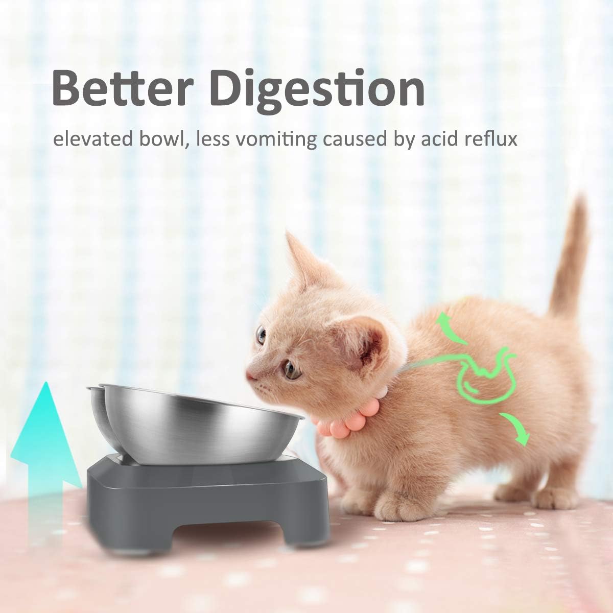 Thumbnail 1 de TANGN Raised Double Cat Feeding Bowl (Stainless Steel) with 15° Tilted Anti-Vomiting Stand