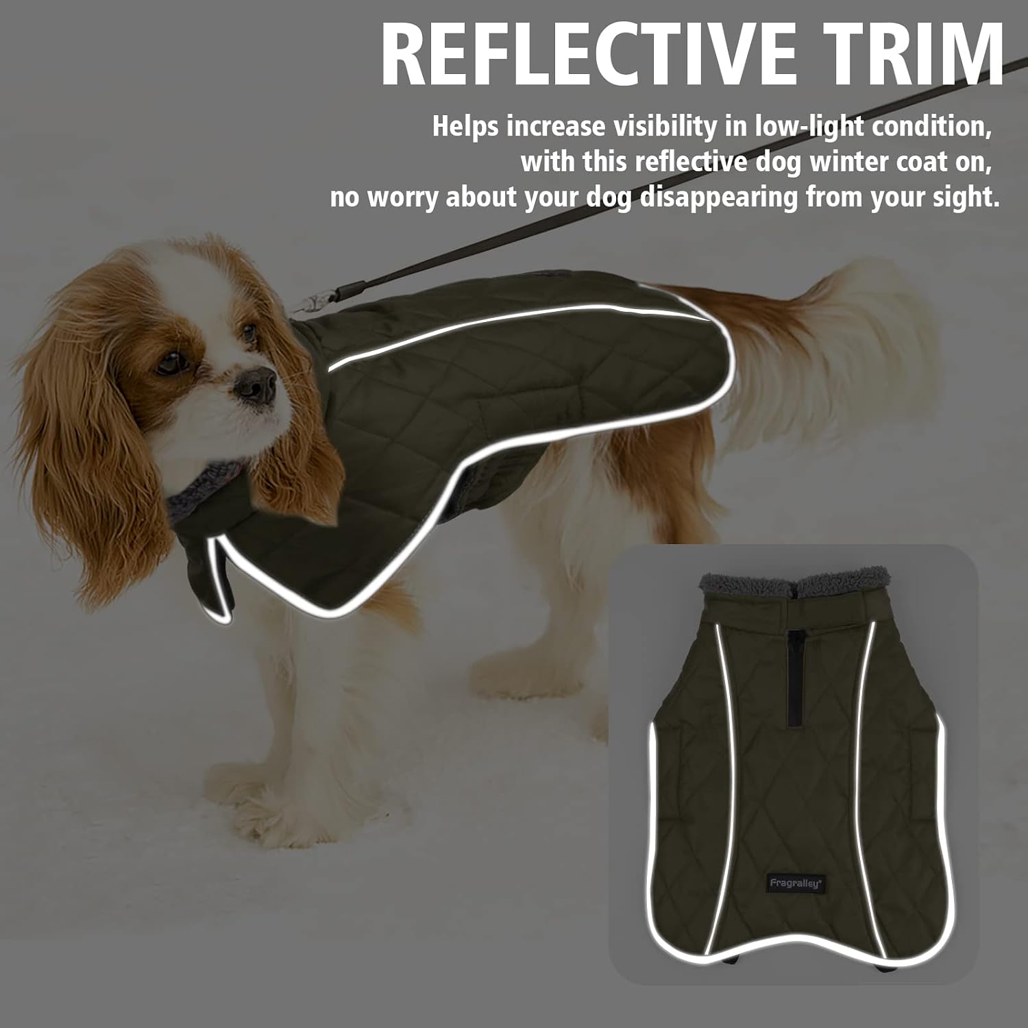 Detalle 2 de Fragralley Dog Coat M