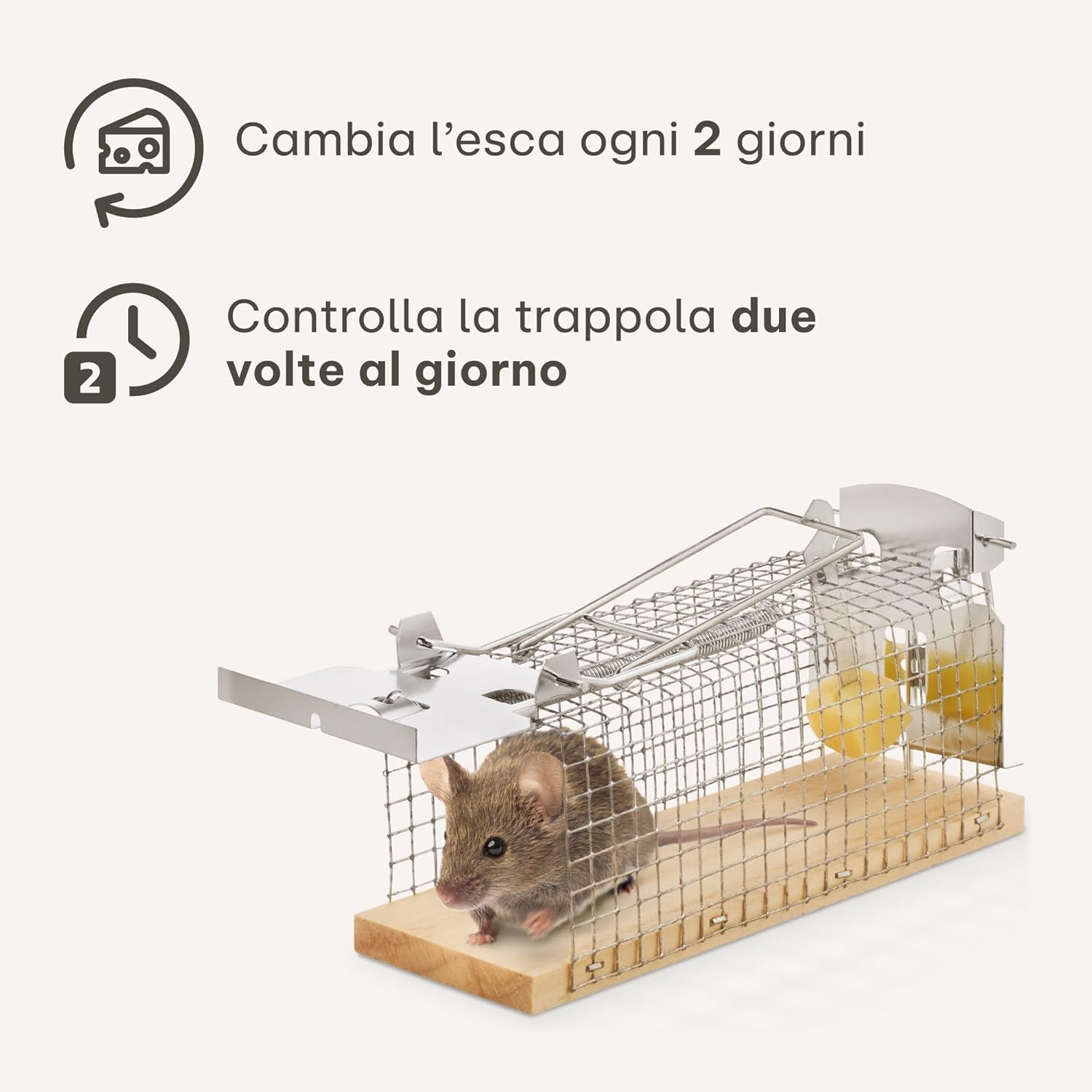 Thumbnail 6 de Praknu Trappola per topi viva 4 pezzi 🐭