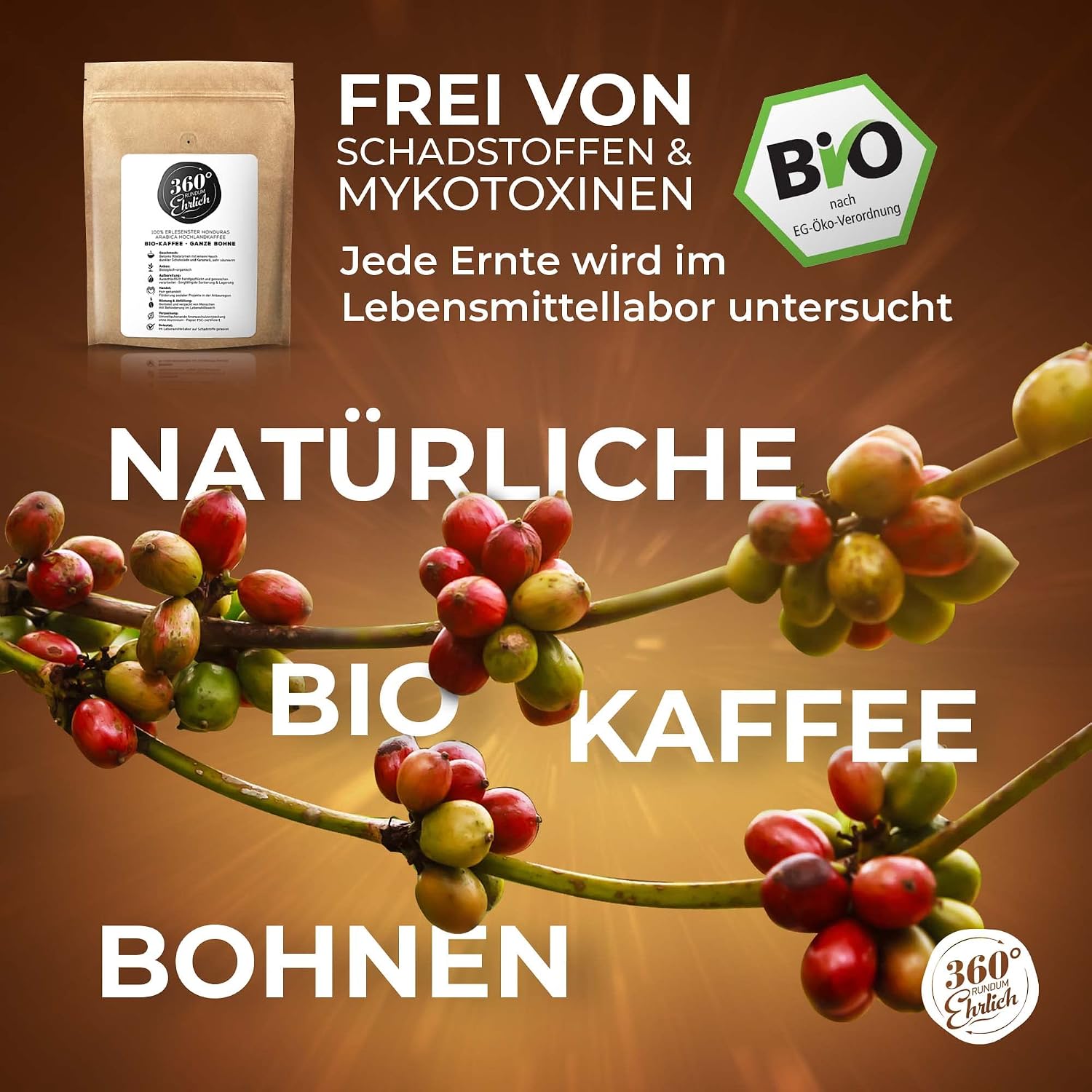 Thumbnail 3 de Premium Bio Kaffeebohnen 1000g Honduras Hochland Arabica