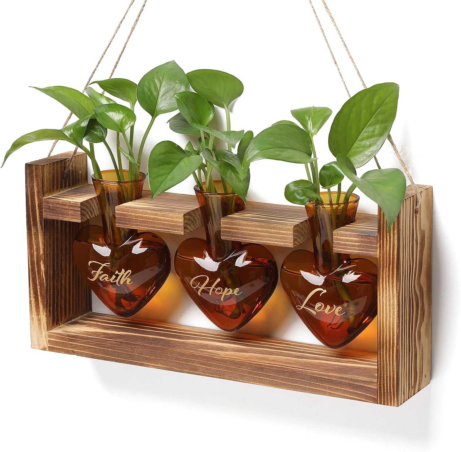 Detalle de Plant Propagation Station, Heart-Shaped Glass