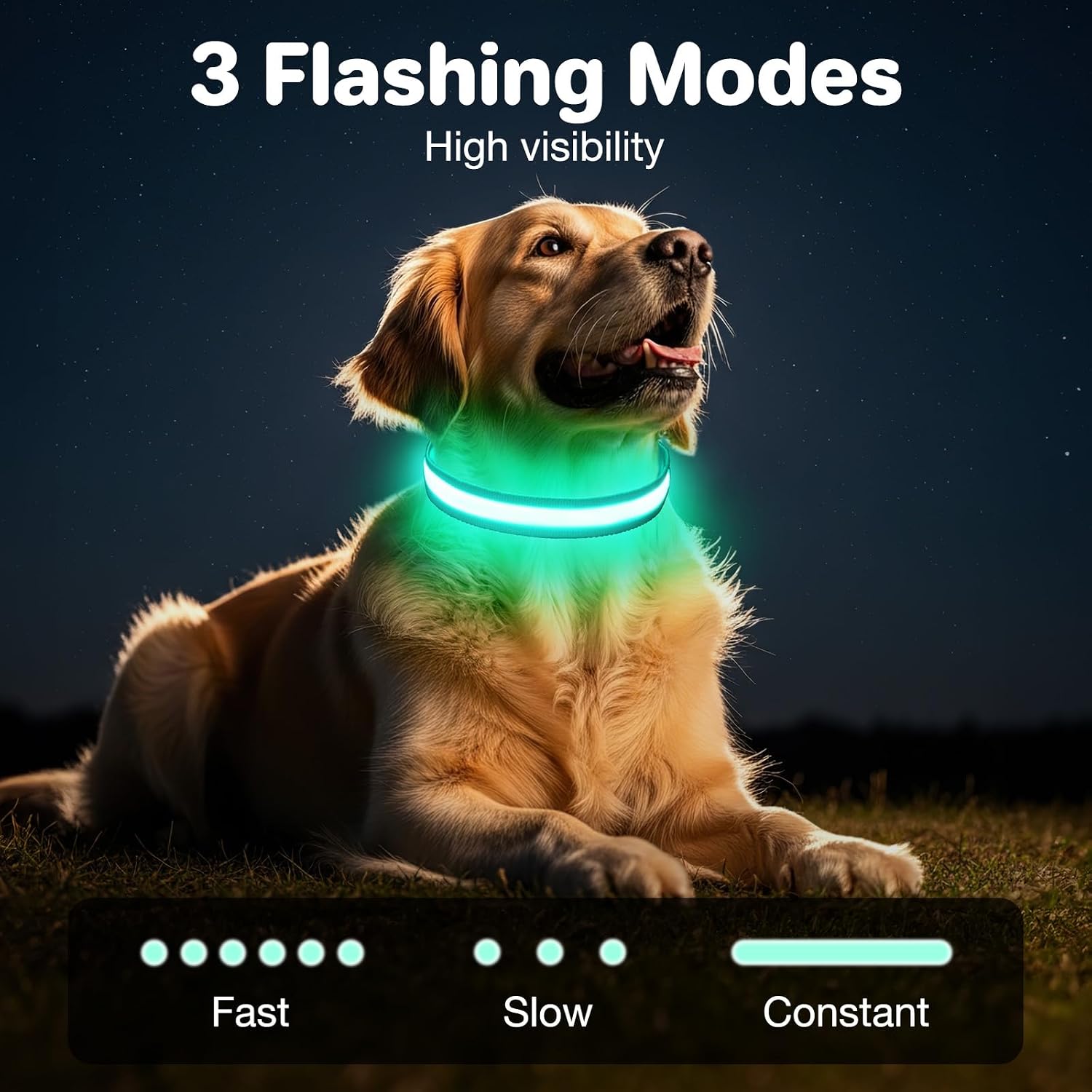 Thumbnail 2 de CAWJUG Dog LED Collar
