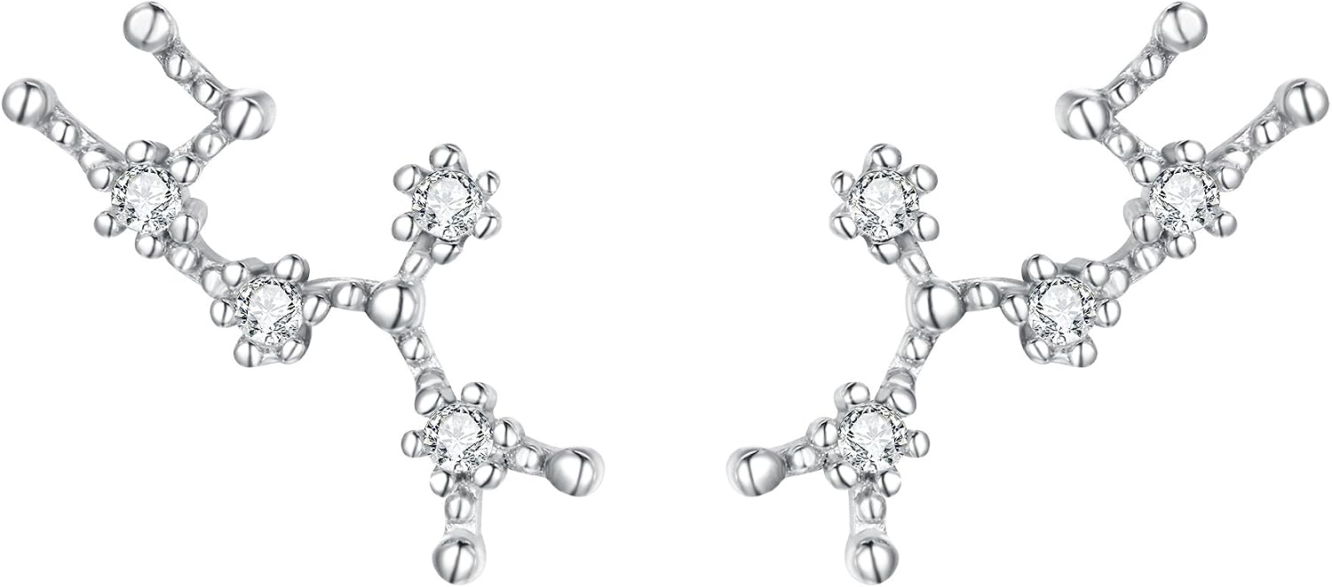 Thumbnail 6 de Clearine Orecchini Argento 925 Zircone Oroscopo Zodiaco 12 Costellazione – Orecchini in fila