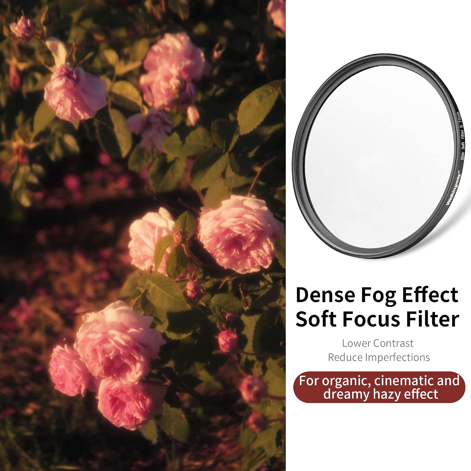 Detalle 2 de 43mm Pro Mist Diffusion Filter