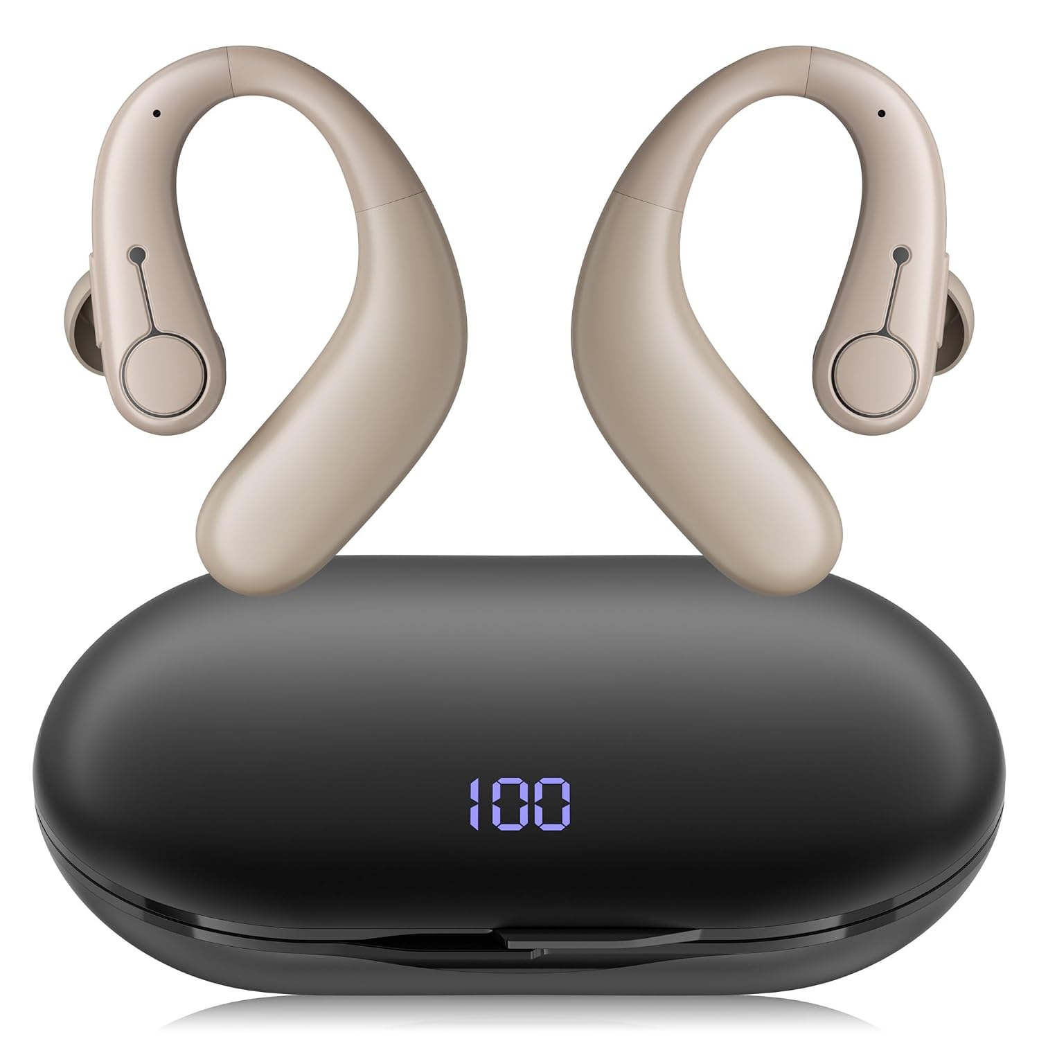 Detalle de Hearing Aids
