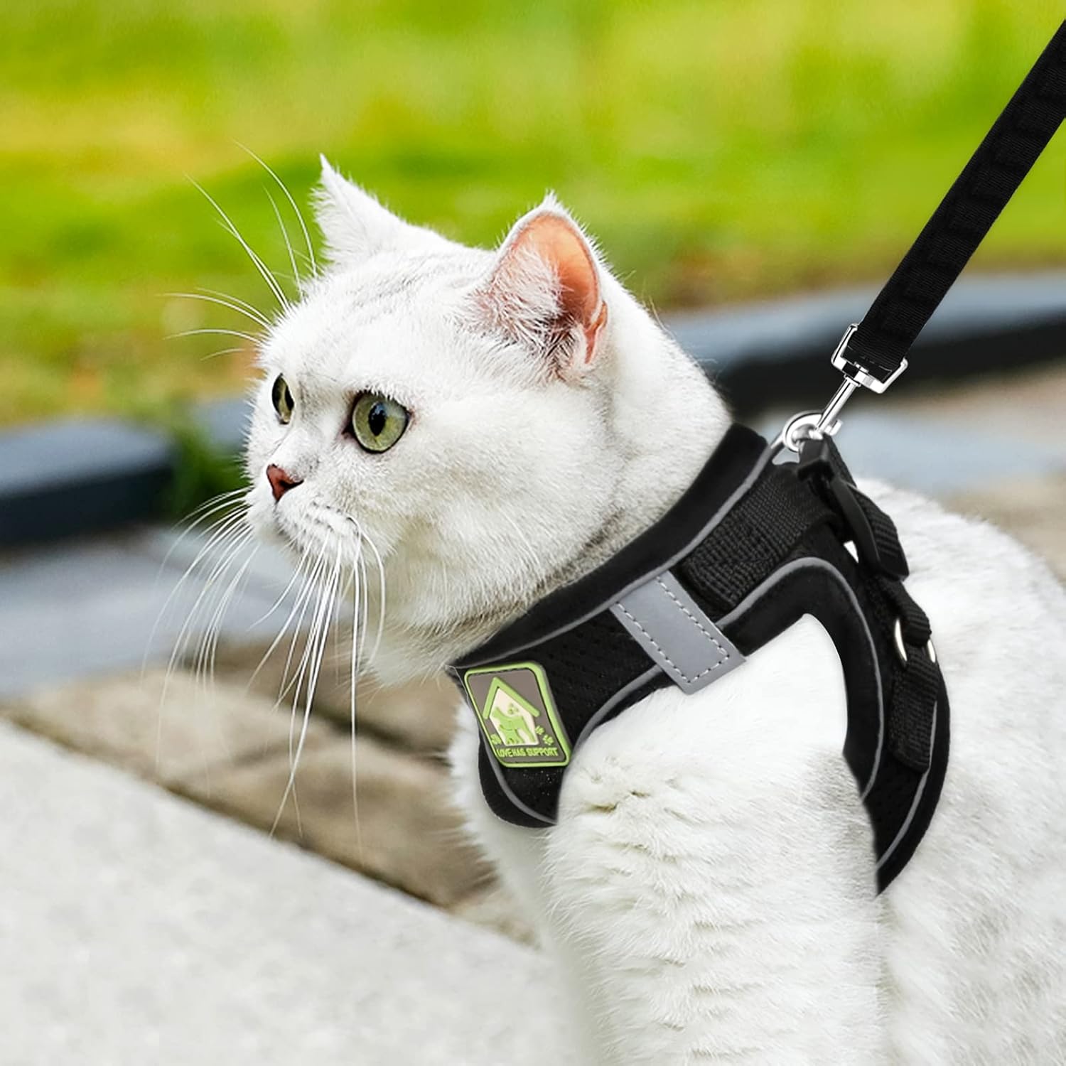 Detalle de Cat Harness & Lead Set - Escape-Proof Adjustable Vest for Kitten, Ferret, Puppy, Rabbit with Reflective Strips - Breathable Soft Mesh Jacket
