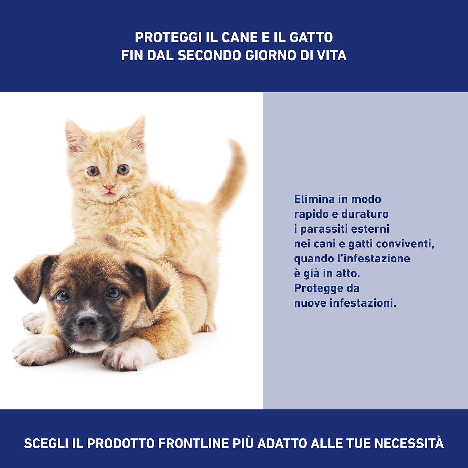 Detalle de FRONTLINE Spray 100 ml: antiparassitario per cani e gatti dalla seconda giorno di vita